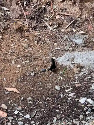 大宮温泉神社(栃木県)