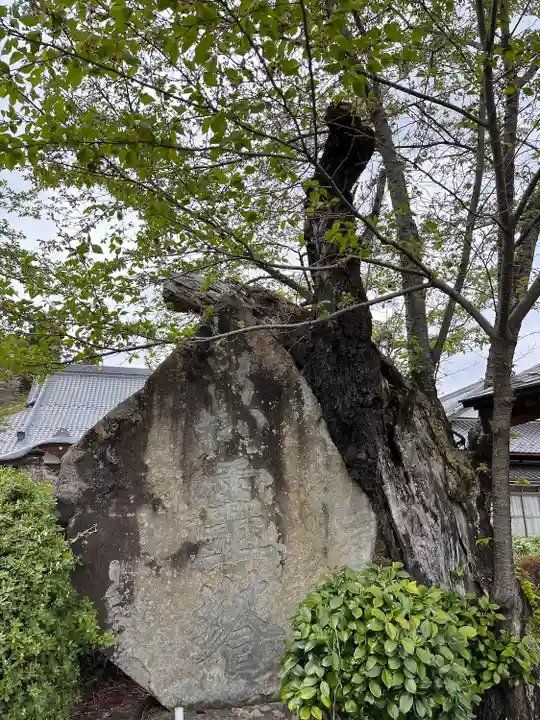 萬休院(山梨県)