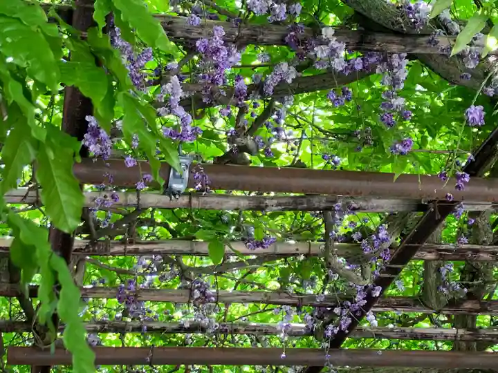笠間稲荷神社(茨城県)