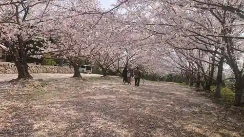 貴船神社の自然