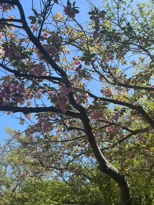 烏帽子山八幡宮(山形県)
