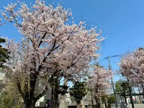 苗穂神社(北海道)
