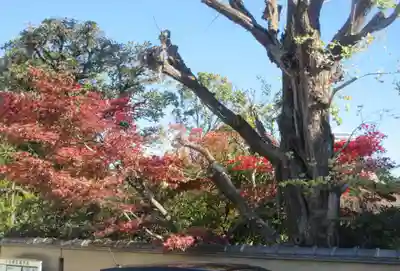 天王寺(東京都)