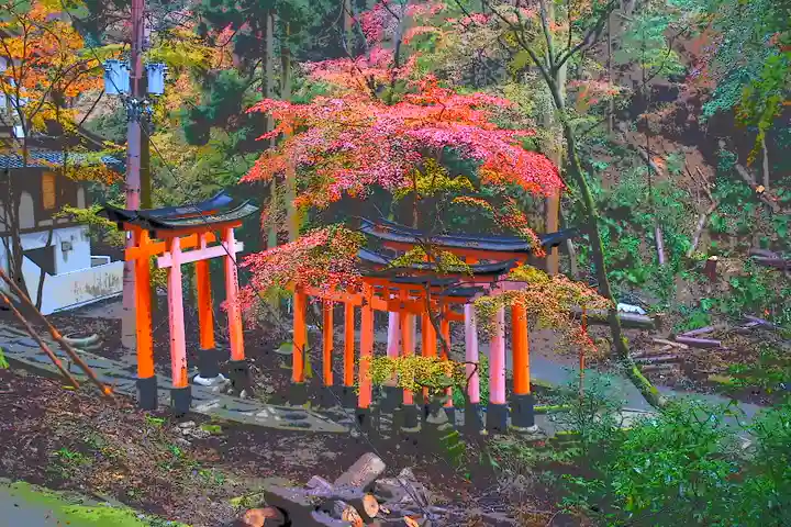 伏見稲荷大社の景色