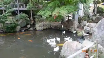 楽法寺（雨引観音）(茨城県)