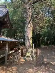 内裏神社(千葉県)