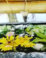 鳩森八幡神社の手水舎