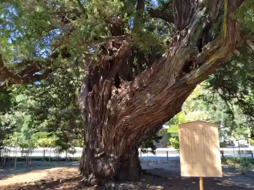 建長寺(神奈川県)