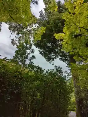 光悦寺(京都府)