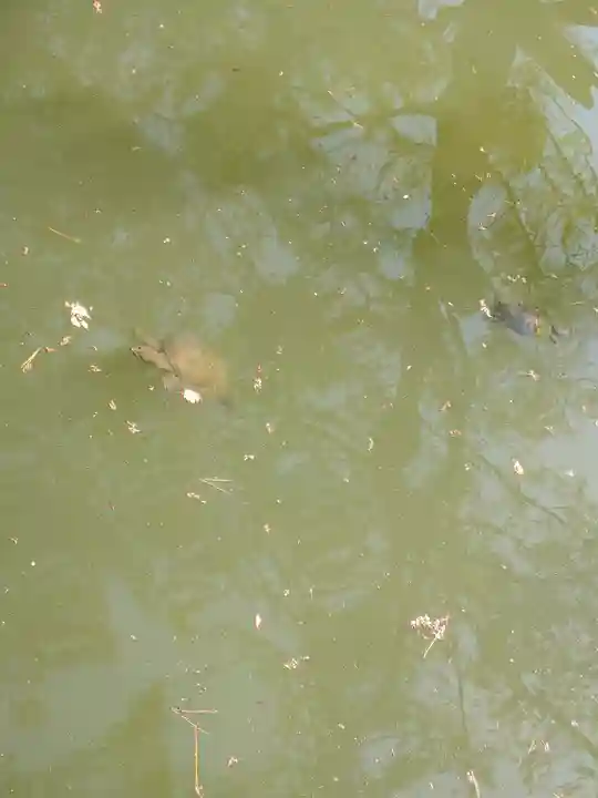 備中国總社(岡山県)