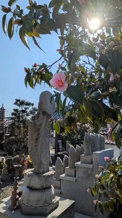 大松禅寺(京都府)