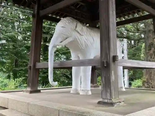 観音寺の狛犬