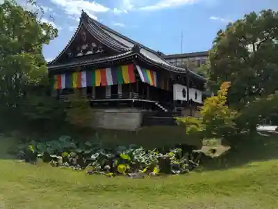  智積院(京都府)