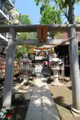 高円寺氷川神社の鳥居