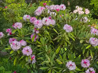 長谷寺(奈良県)