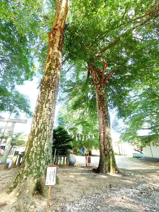 松山神社(埼玉県)