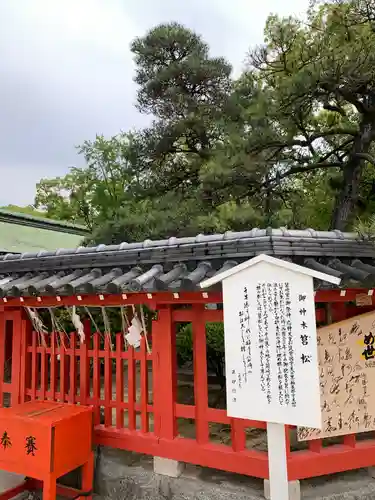 筥崎宮(福岡県)