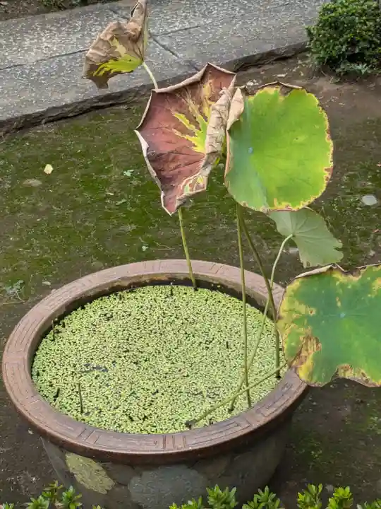 本妙院(東京都)