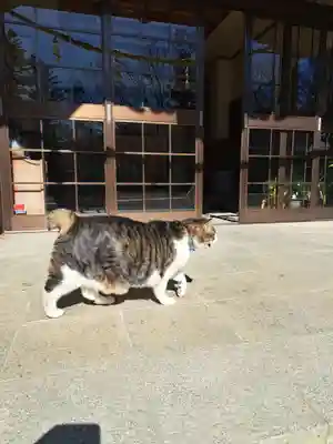 山梨縣護國神社(山梨県)