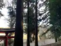 大宮温泉神社(栃木県)