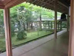 龍安寺の庭園