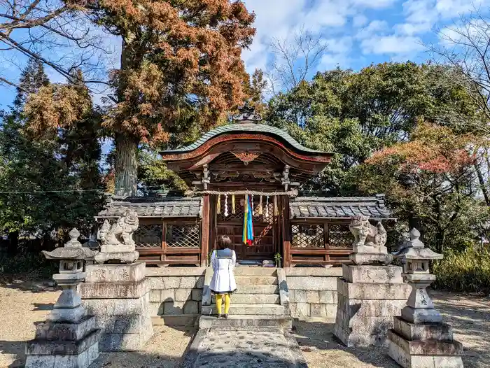 男山八幡宮の本殿