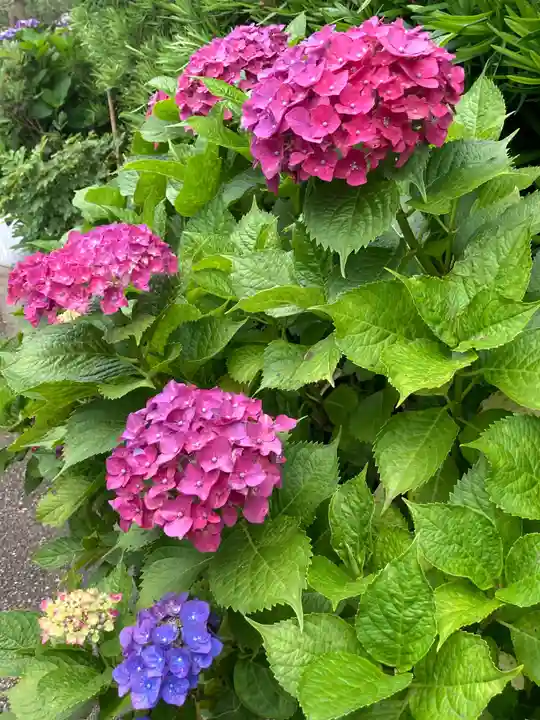 建長寺(神奈川県)