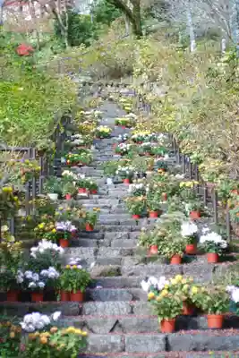 長谷寺(奈良県)