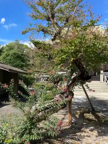 良泉寺(神奈川県)