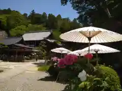 岡寺（龍蓋寺）の建物その他