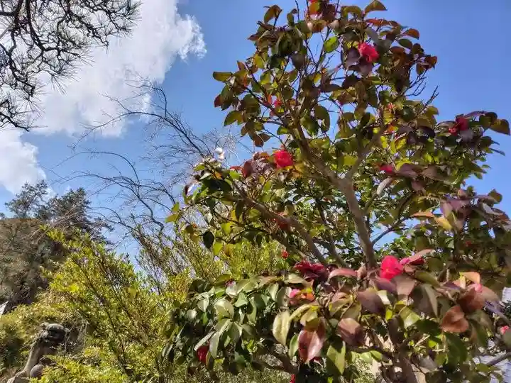 豊景神社(福島県)