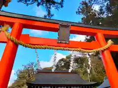 吉田神社の鳥居