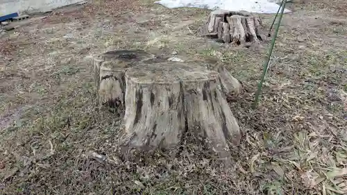金刀比羅神社の自然