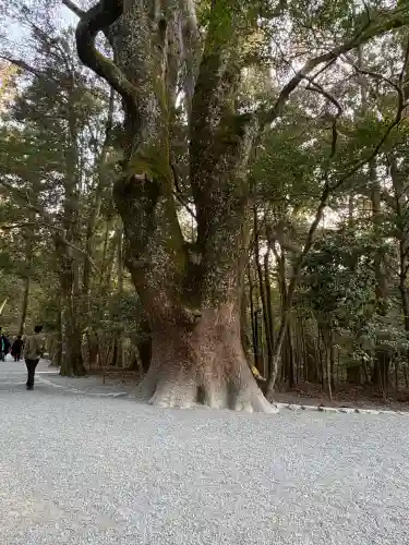 伊勢神宮内宮（皇大神宮）の{uncategorized: "未分類", other: "その他", undefined: "問題あり", building: "その他建物", grave: "お墓", sacred_gate: "鳥居", guardian: "狛犬", statue: "像", buddha: "仏像", history: "歴史", nature: "自然", garden: "庭園", animal: "動物", pagoda: "塔", temizu: "手水舎", mountain_gate: "山門・神門", sanctuary: "本殿・本堂", subordinate: "末社・摂社", art: "芸術", scenery: "景色", jizo: "地蔵", ema: "絵馬", goshuin: "御朱印", omikuji: "おみくじ", items: "授与品その他", amulet: "お守り", goshuincho: "御朱印帳", eats: "食事", festival: "お祭り", votive_dance: "神楽", shichigosan: "七五三参", wedding: "結婚式", experience: "体験その他", initially: "初詣", around: "周辺", anti_infection: "感染症対策"}