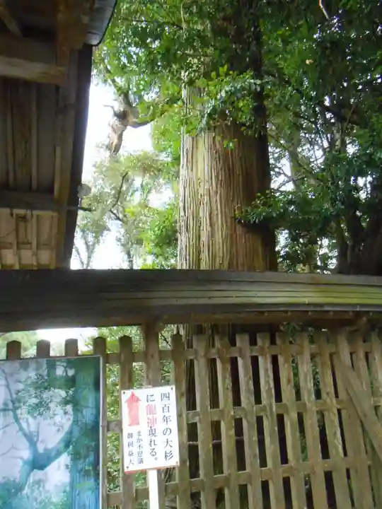 東霧島神社(宮崎県)