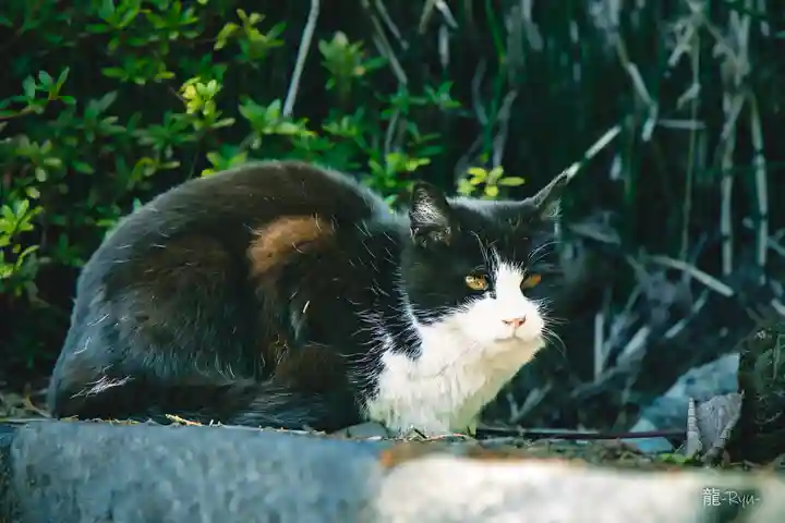 今市報徳二宮神社(栃木県)