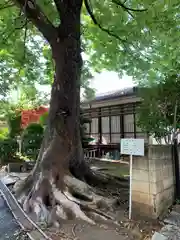 千方神社の自然