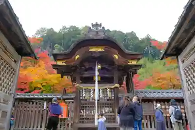 鍬山神社(京都府)