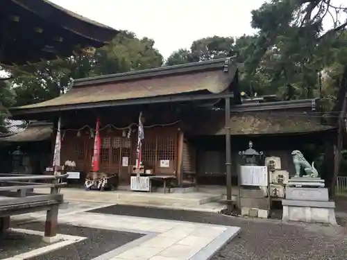 長浜八幡宮の本殿・本堂