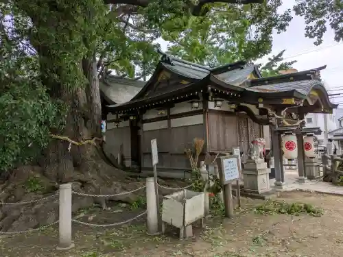 春日神社(兵庫県)