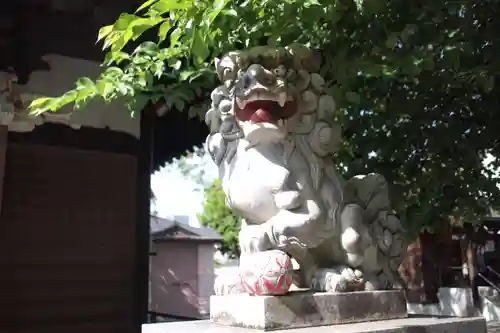 代田神社の狛犬