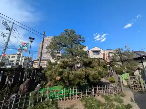 御行の松不動尊(東京都)