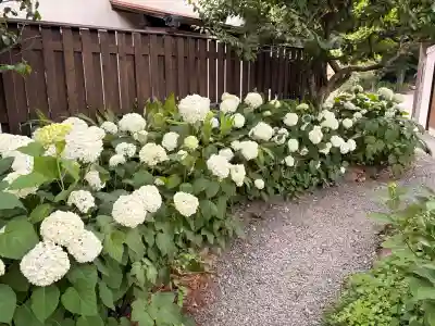 頼光寺(兵庫県)