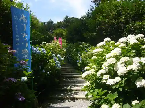 鷲子山上神社の自然