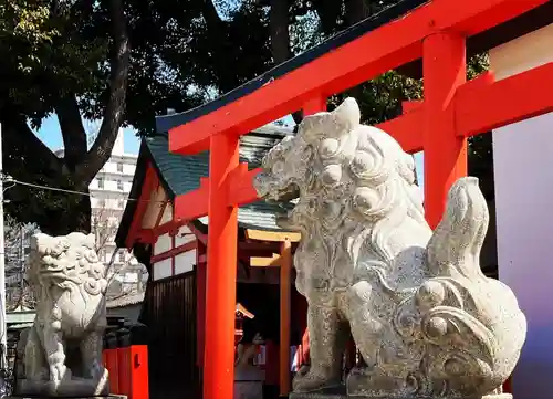 姫嶋神社の狛犬