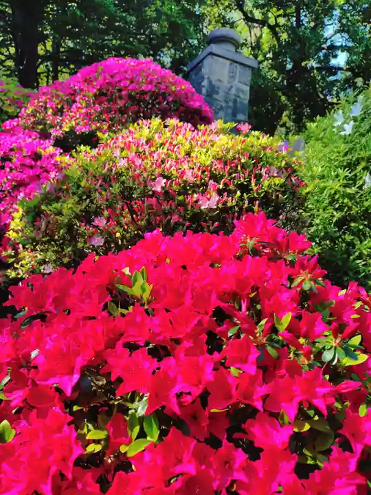 根津神社(東京都)