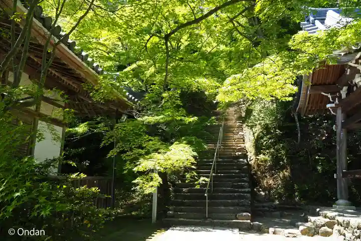 二尊院(京都府)