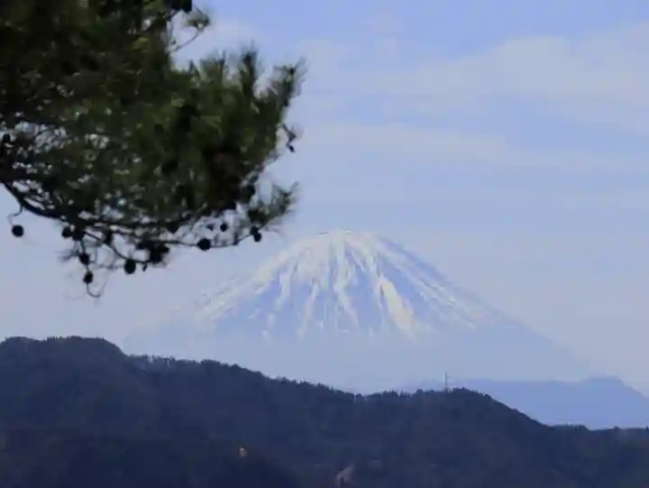 金櫻神社の{uncategorized: "未分類", other: "その他", undefined: "問題あり", building: "その他建物", grave: "お墓", sacred_gate: "鳥居", guardian: "狛犬", statue: "像", buddha: "仏像", history: "歴史", nature: "自然", garden: "庭園", animal: "動物", pagoda: "塔", temizu: "手水舎", mountain_gate: "山門・神門", sanctuary: "本殿・本堂", subordinate: "末社・摂社", art: "芸術", scenery: "景色", jizo: "地蔵", ema: "絵馬", goshuin: "御朱印", omikuji: "おみくじ", items: "授与品その他", amulet: "お守り", goshuincho: "御朱印帳", eats: "食事", festival: "お祭り", votive_dance: "神楽", shichigosan: "七五三参", wedding: "結婚式", experience: "体験その他", initially: "初詣", around: "周辺", anti_infection: "感染症対策"}
