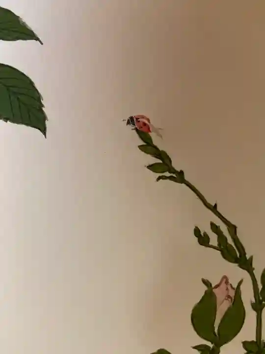 大雄院(京都府)