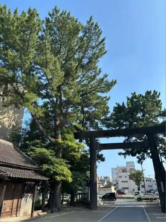 安久美神戸神明社(愛知県)